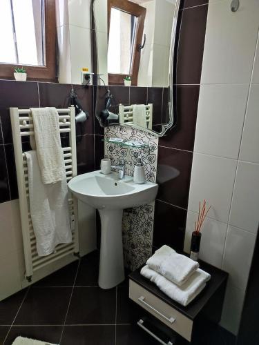 un bagno con lavandino e specchio di Sophia Central Studio a Iaşi