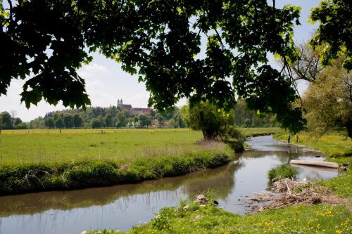 a river in a field with a tree at Hotel Kloster Holzen in Allmannshofen