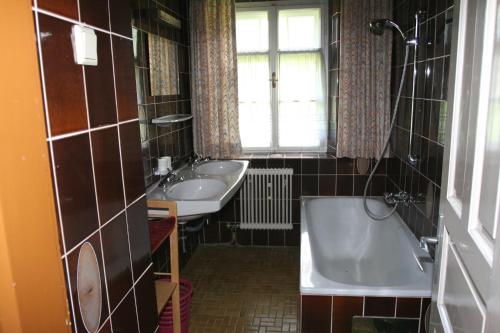 ツェル・アム・ツィラーにあるZillertal Apartmentsのバスルーム(洗面台2台、バスタブ付)、窓が備わります。