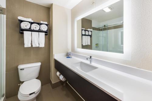W łazience znajduje się toaleta oraz umywalka z lustrem. w obiekcie Holiday Inn Express London-I-70, an IHG Hotel w mieście London