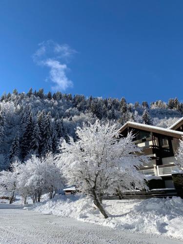 een huis met sneeuw bedekte bomen ervoor bij LES COMBETTES in Les Contamines-Montjoie