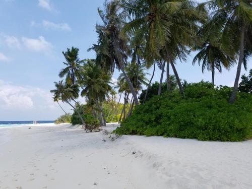 a group of palm trees on a white beach at SUNSET BEACH AT CORNERSTAY Fodhdhoo in Fodhdhoo