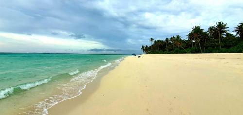 Landskap semula jadi dekat dengan rumah tamu ini