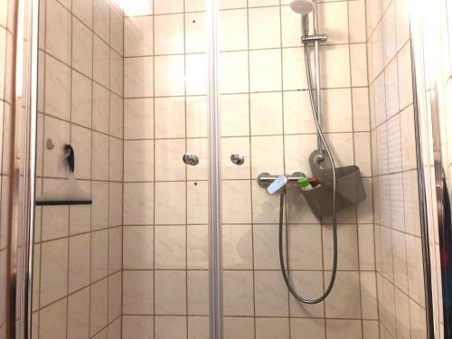 a bathroom with a shower with a shower head at Hundeurlaub im Tiny House im Wald in Tanna