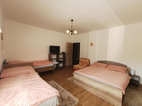 a bedroom with two beds and a television in it at Privat Teo Podtureň in Liptovský Mikuláš