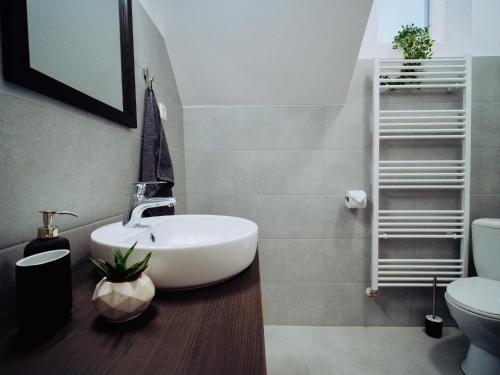 a bathroom with a sink and a toilet at Zakarias Apartments in Miercurea-Ciuc