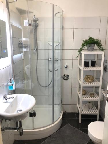 uma casa de banho com um chuveiro e um lavatório. em Ferienwohnung Poppelreiter em Solingen