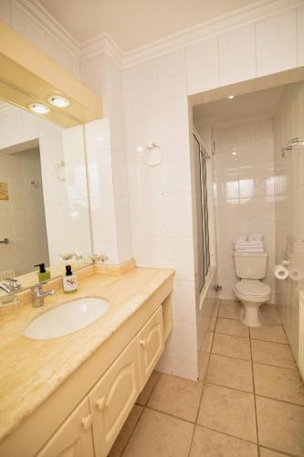 a bathroom with a sink and a toilet and a mirror at Hotel del Volcán in Pucón