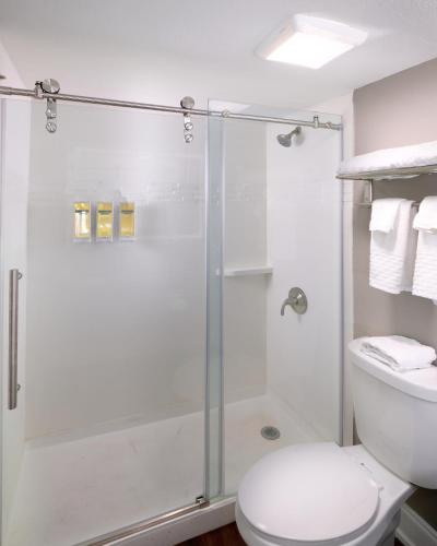 a bathroom with a shower and a toilet at Comfort Inn & Suites Pottstown Eastern Gateway in Pottstown