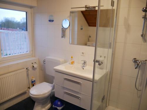 a bathroom with a toilet and a sink and a shower at Fewo 2748 in Tossens in Tossenserdeich