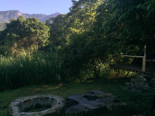 a backyard with a fire pit in the grass at Glamping El Árbol en la Casa in San Antonio del Tequendama