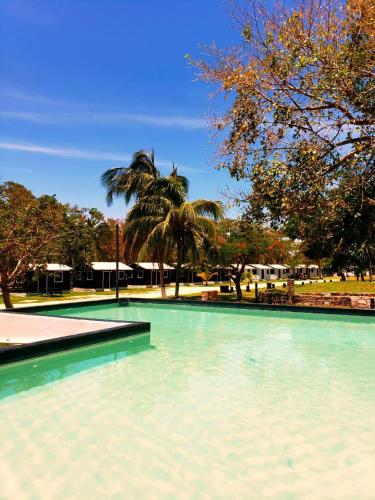 a large pool of water with a palm tree at ECO-CABAÑAS Cancún in Cancún