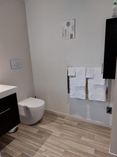 a bathroom with a toilet and towels on a wall at Bethlehem Apartment in Tauranga
