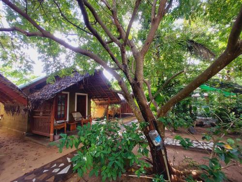 a small house with a tree in front of it at Inn On The Bay in Pasikuda