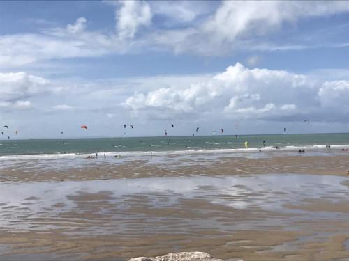 un gruppo di persone che volano aquiloni sulla spiaggia di Studio Cosy a Wissant