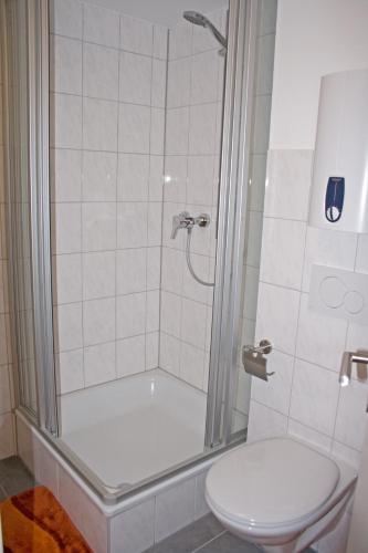 a bathroom with a shower with a toilet and a sink at Ferienhaus Anna Maria in Bernkastel-Kues