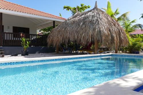 a swimming pool with a straw umbrella next to a house at Villa de Mango in Fontein