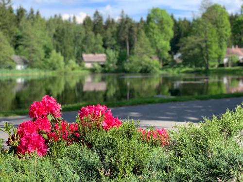 a garden with pink flowers in front of a lake at Hotel Leopold Račín in Račín