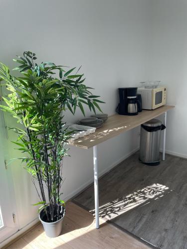 une table avec deux plantes en pot dans une pièce dans l'établissement L'essentiel, à Noyal-sur-Vilaine