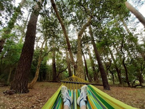 une personne se posant dans un hamac dans une forêt dans l'établissement La maison de Maritxu - Entre plage et foret - Landes - Pays Basque, à Tarnos