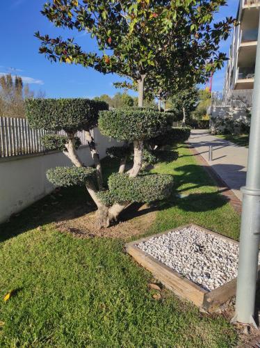a bonsai tree in a yard next to a building at Paradise Village Port Aventuras in Salou