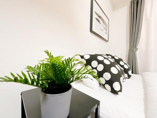 a potted plant sitting on a table next to a couch at OUCHI HOTEL Otemachi in Hiroshima