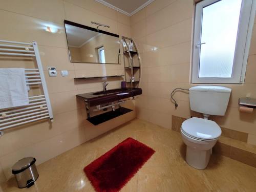 a bathroom with a toilet and a sink and a mirror at Villa Mery in Moisei