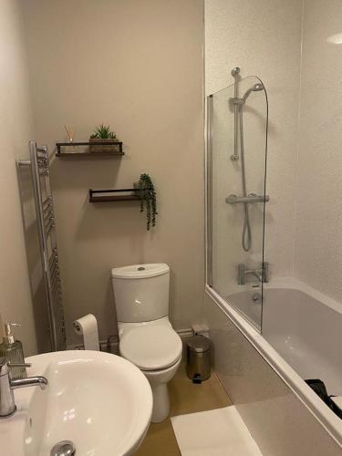 a bathroom with a toilet and a sink and a shower at Lan Y Môr 4 Aberystwyth in Aberystwyth
