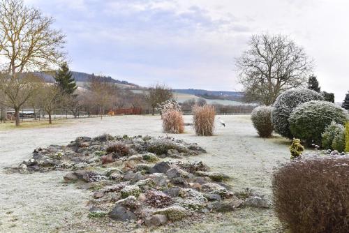 a snow covered field with rocks and bushes at Venkovská usedlost Horšice in Horšice