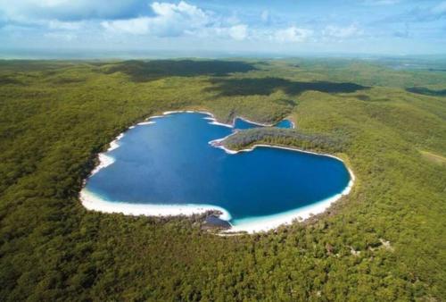 an aerial view of two lakes in the forest at Kookaburra Villa at Kingfisher Bay Resort in Kingfisher Bay