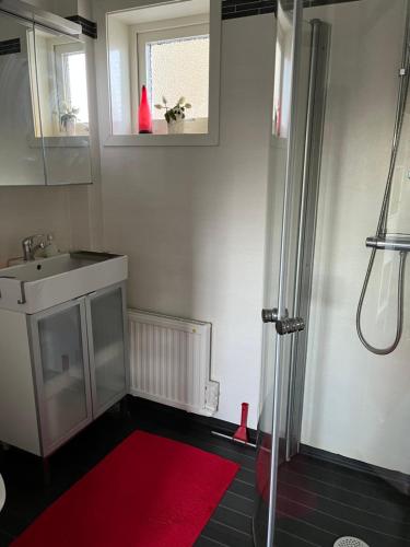 La salle de bains est pourvue d'un lavabo et d'un tapis rouge. dans l'établissement Grottstugan, à Ljungskile