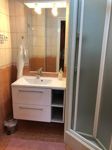 a bathroom with a sink and a shower at Oli Apartman in Hajdúszoboszló