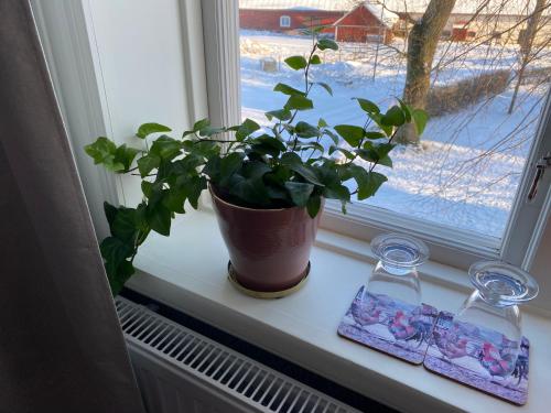 冬のBjälbo Gästhus B&Bの様子