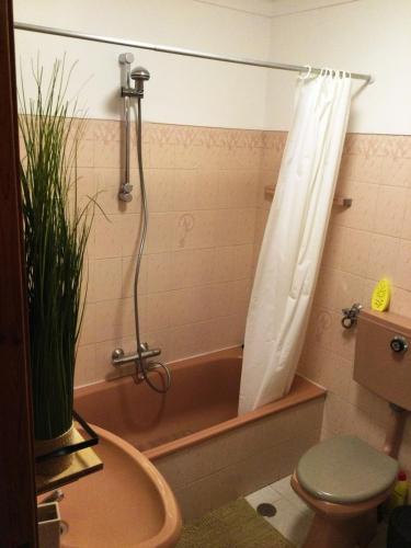 a bathroom with a tub and a toilet and a shower at Art`Rio - Casa no Rio em Dornes in Dornes