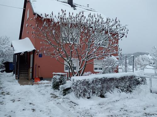 Το Apartman Ris Gorski Kotar Crni Lug τον χειμώνα