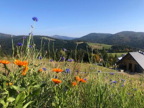 Φυσικό τοπίο κοντά σε αυτό το bed & breakfast