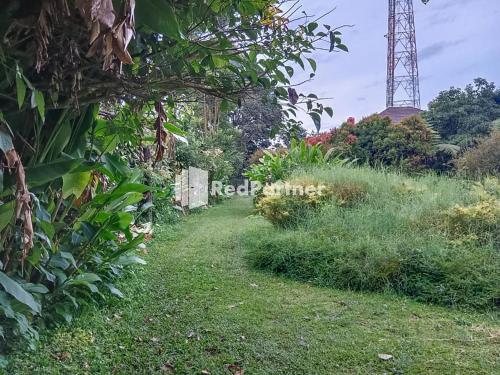 Zahrada ubytování Kampung Resort Pertiwi RedPartner