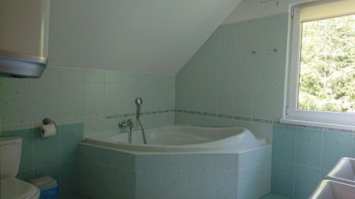 a bath tub in a bathroom with a window at Penzion pod Vlkolíncom in Ružomberok