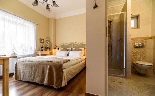 sypialnia z łóżkiem, prysznicem i toaletą w obiekcie Pokój Lidia w mieście Duszniki Zdrój