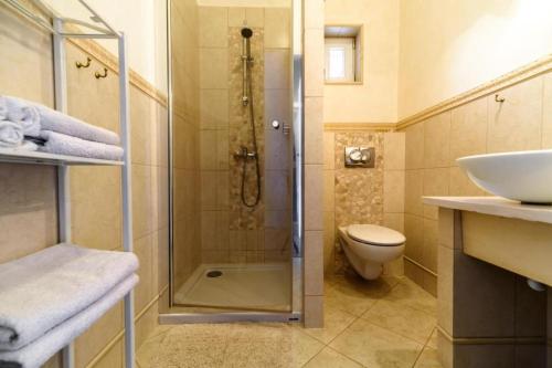 W łazience znajduje się prysznic, toaleta i umywalka. w obiekcie Pokój Lidia w mieście Duszniki Zdrój