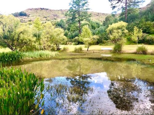 Gallery image of Esigodini Cottage in Underberg