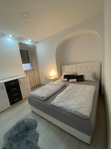 - une chambre avec un lit et un chien sur le sol dans l'établissement Apartment Carpe Diem, à Koper
