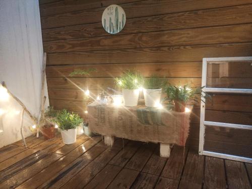 a room with potted plants on a wooden floor at 墾丁后灣仙杜瑞拉海景旅宿 in Checheng