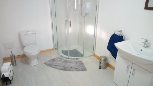 a bathroom with a shower and a toilet and a sink at The Uyeasound Old Pier Cottage in Belmont