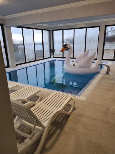Bazén v ubytování Pensiunea GOLD Wellness&Spa nebo v jeho okolí