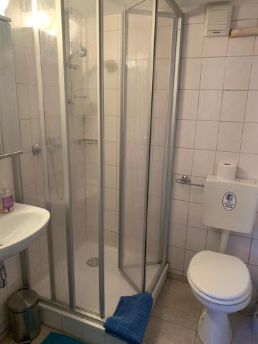 een badkamer met een douche, een toilet en een wastafel bij Zimmervermietung Lippmann in Großhartmannsdorf