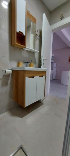 uma casa de banho com um lavatório e um espelho em Sumski san 1 em Divčibare