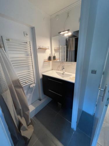 une salle de bain avec un lavabo et un miroir dans l'établissement Charmant deux pièces dans maison, à Roquebrune-Cap-Martin