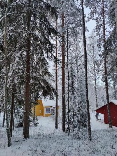 Una casa roja y amarilla en el bosque con nieve. en Hiljanrinne, en Mommila Hietoinen