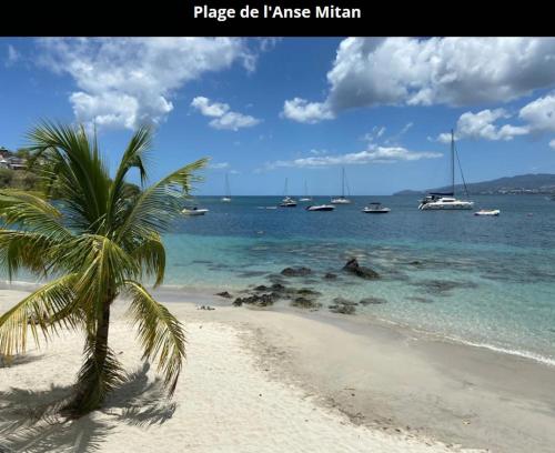 PLAISIRS LOCATIONS 3 ILETS